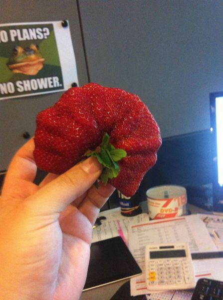 Daily Picdump