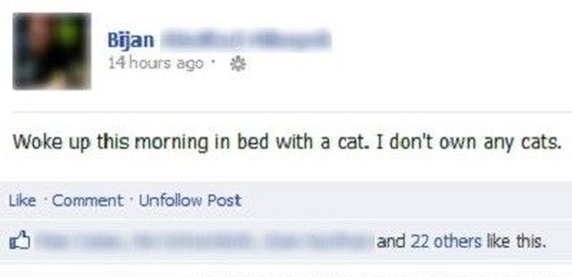 Morning Picdump