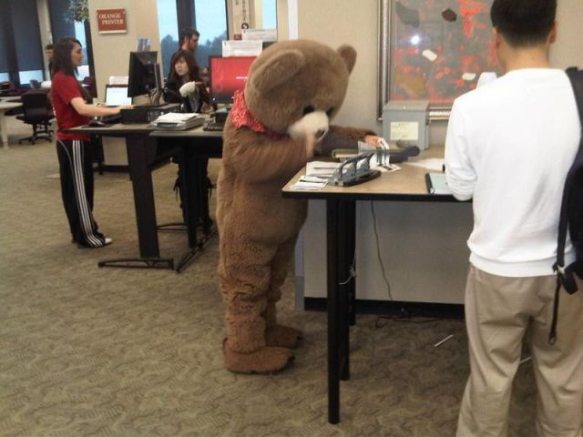 Content Image