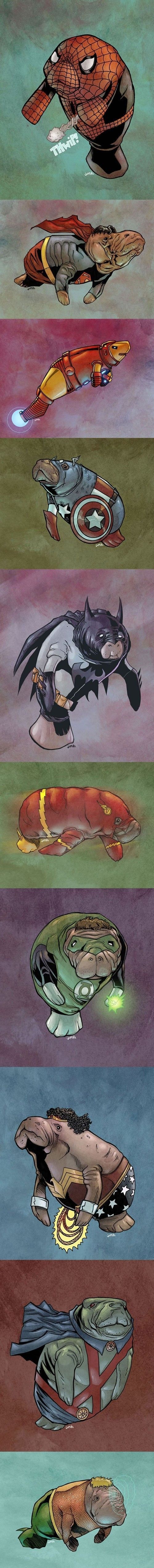 Content Image
