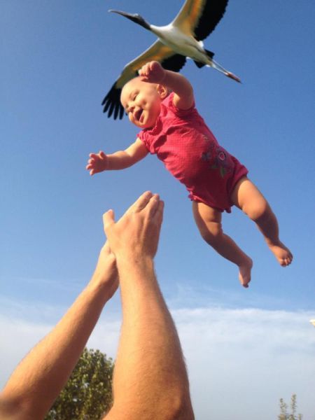 Morning Picdump