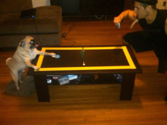 That Is One Hell of a Pug