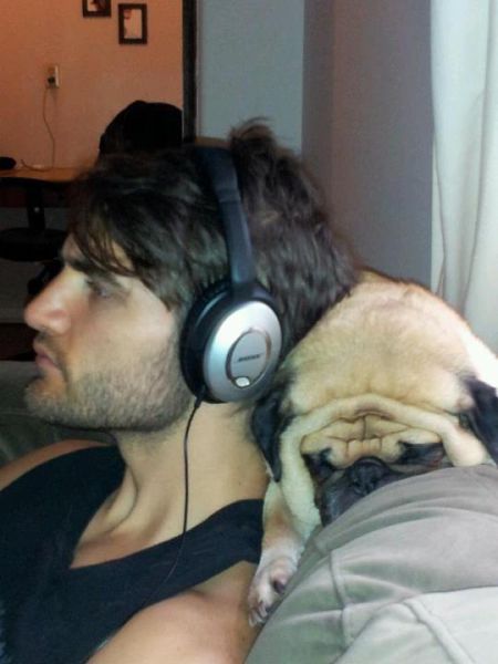 That Is One Hell of a Pug