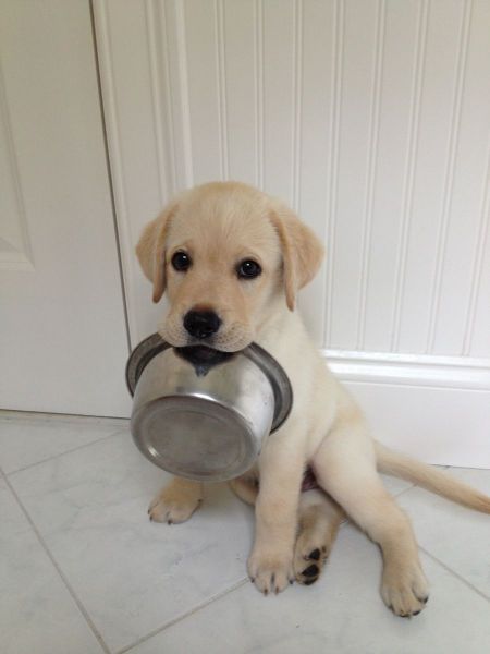 Daily Picdump [WEEKEND EDITION]