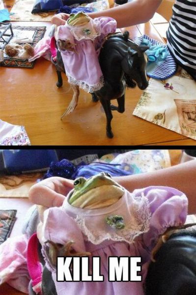 Content Image