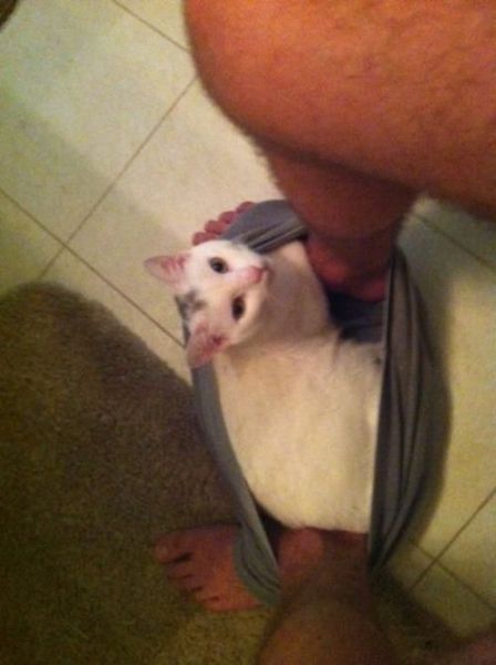 Daily Picdump