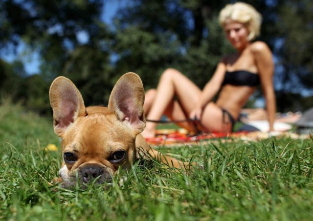 Daily Picdump