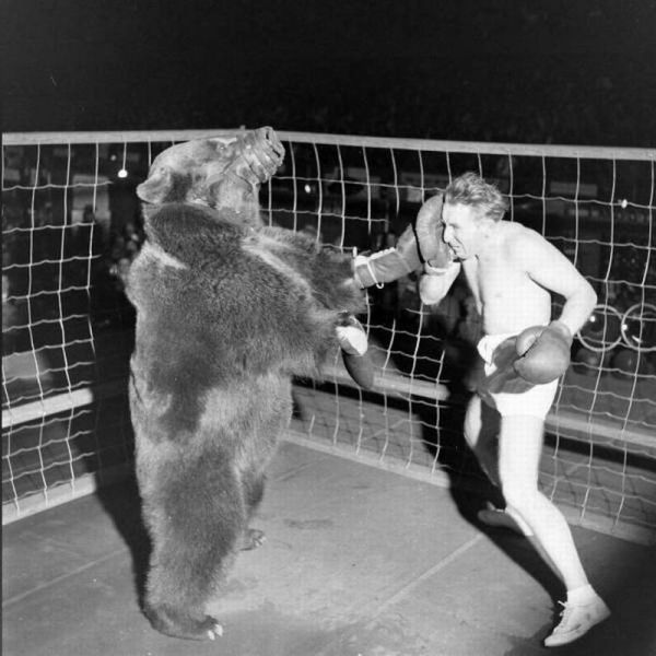 Content Image