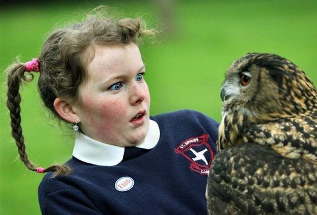 Daily Picdump