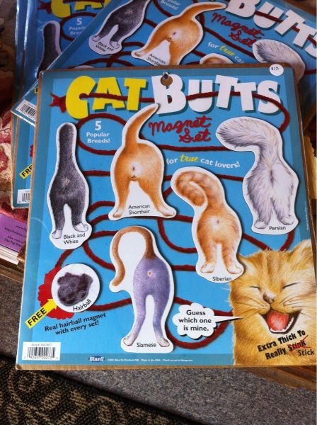 Content Image