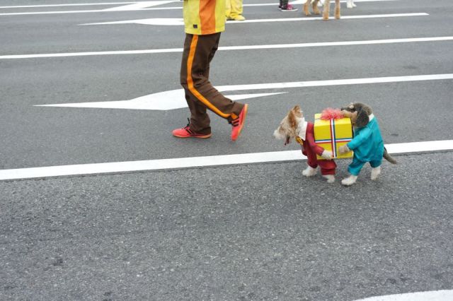 Daily Picdump