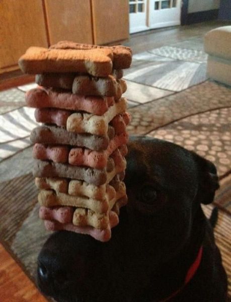 Content Image