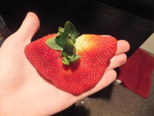 Content Image