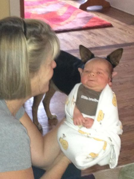 Daily Picdump