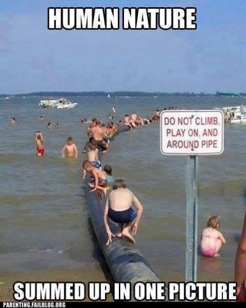 Fail&Win Picdump