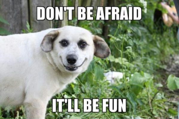 Captions That Will Make You Laugh. Part 3