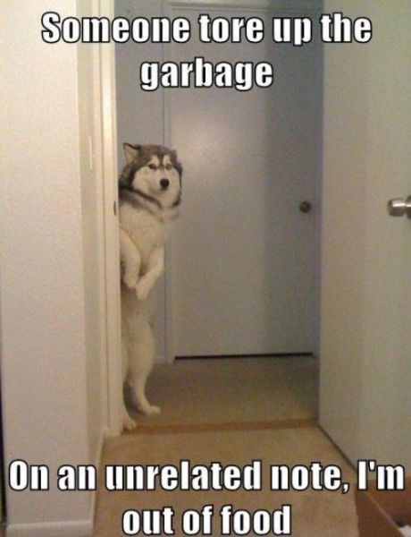 Captions That Will Make You Laugh. Part 3