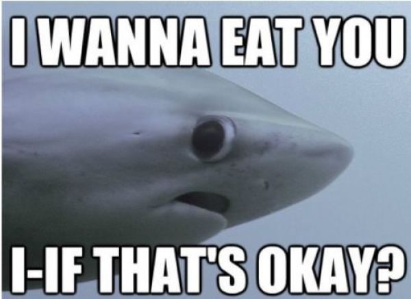 Captions That Will Make You Laugh. Part 3