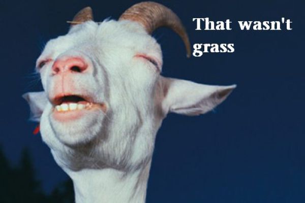 Captions That Will Make You Laugh. Part 3