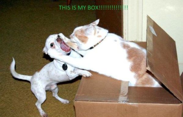 Captions That Will Make You Laugh. Part 3