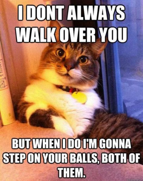 Captions That Will Make You Laugh. Part 3