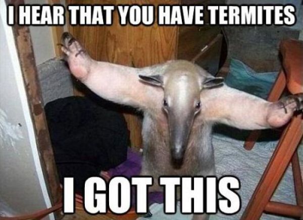 Captions That Will Make You Laugh. Part 3