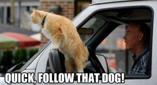 Captions That Will Make You Laugh. Part 3