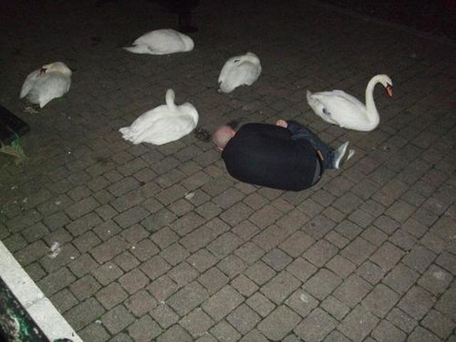 Content Image