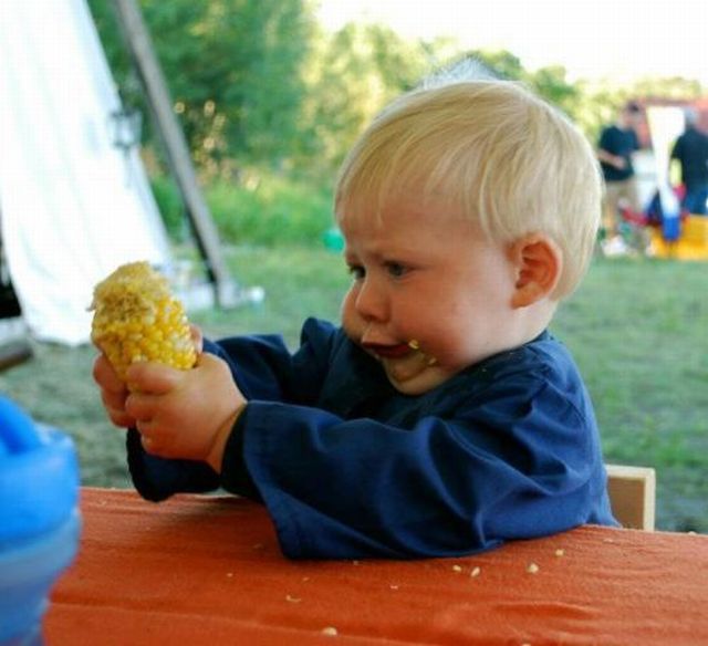 Morning Picdump