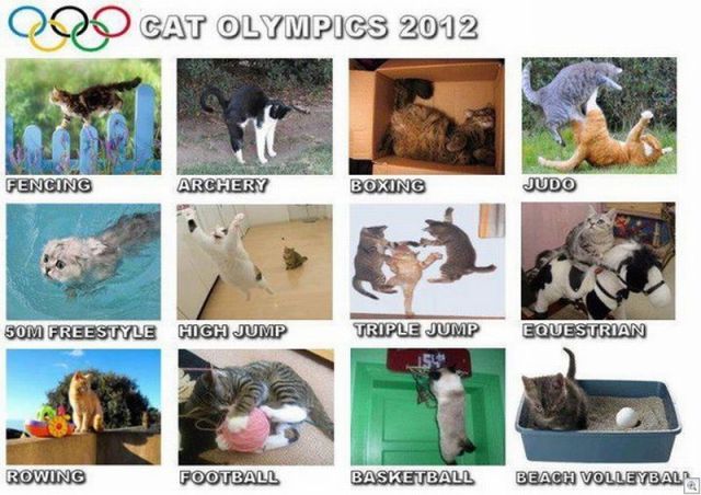 Morning Picdump