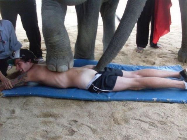 Daily Picdump