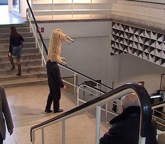 Content Image