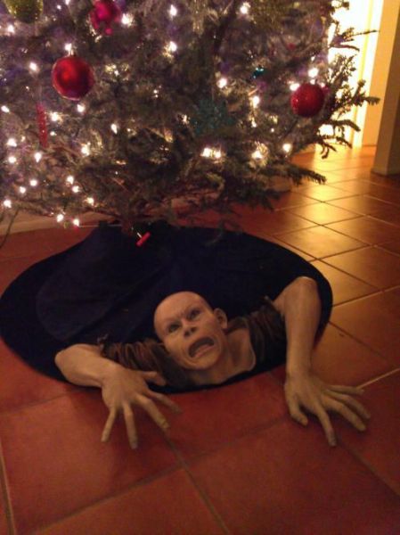 Daily Picdump