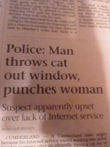 Daily Picdump