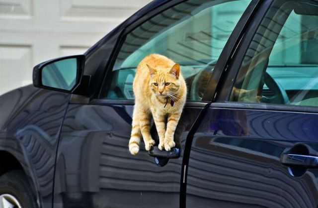 Daily Picdump
