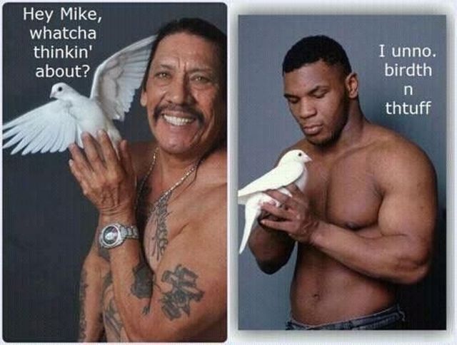 Content Image
