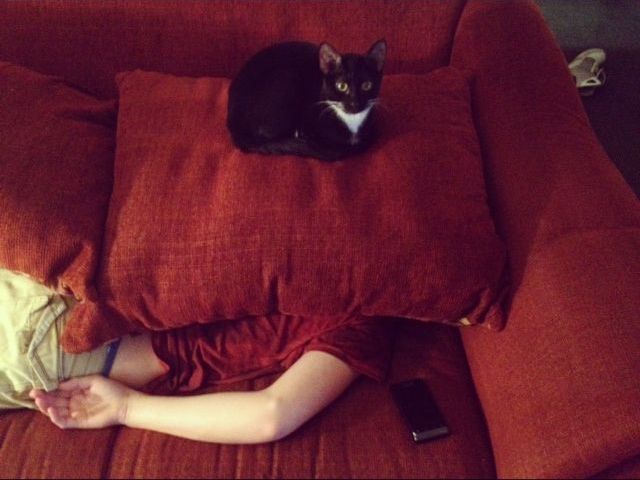 Morning Picdump