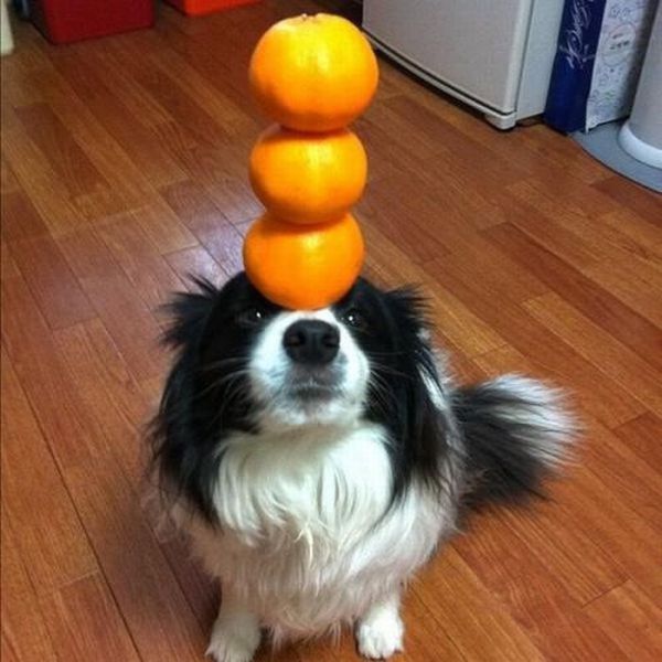Morning Picdump