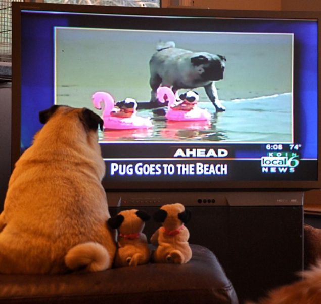 Morning Picdump