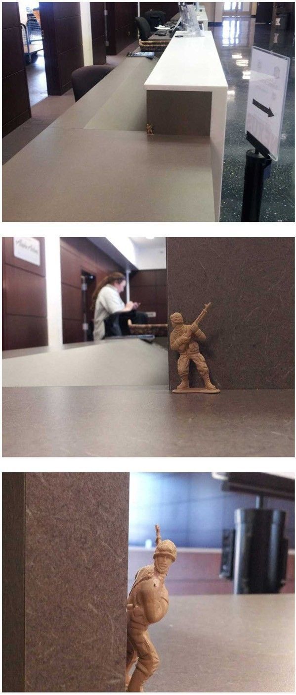 Daily Picdump