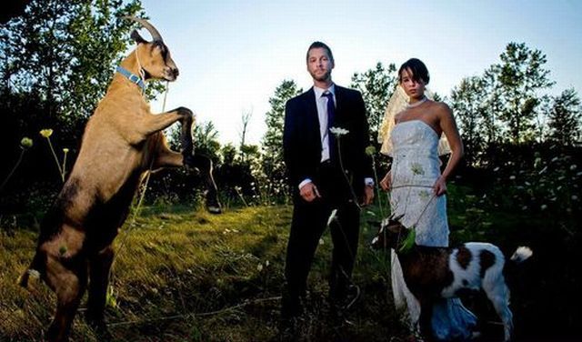 Morning Picdump