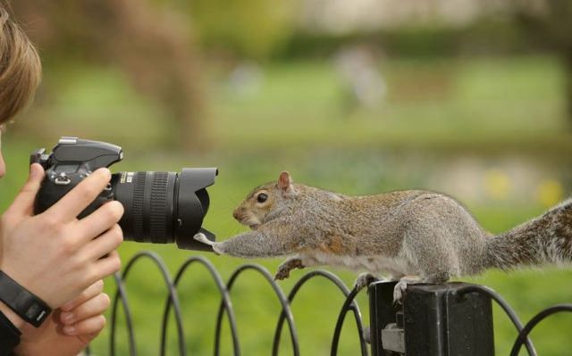 Morning Picdump