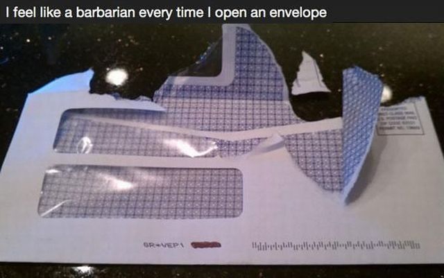 Morning Picdump