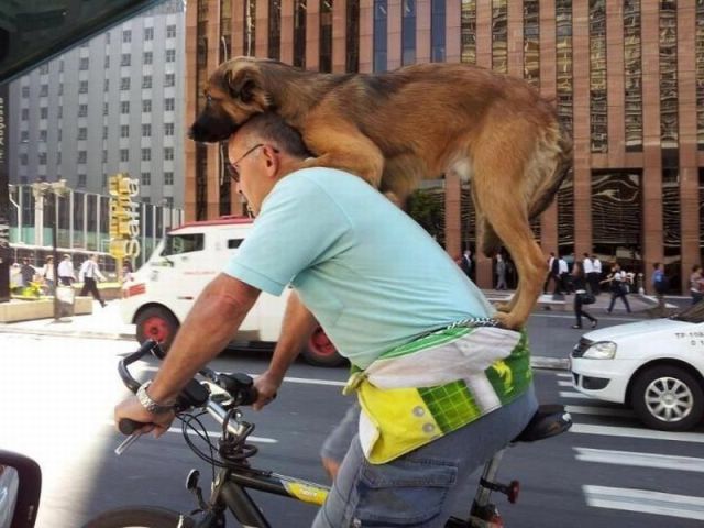Content Image