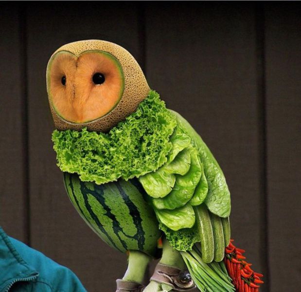 Morning Picdump