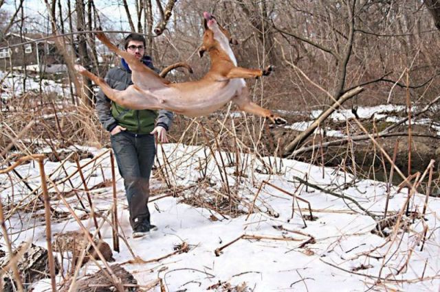 Content Image