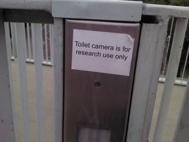 Daily Picdump