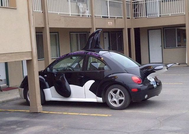 Daily Picdump