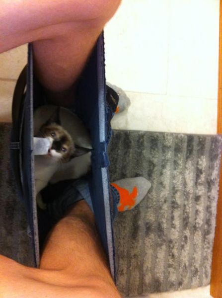 Daily Picdump