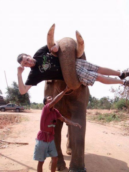 Daily Picdump
